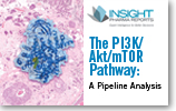 The PI3K/Akt/mTOR Pathway