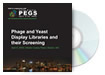 Phage and Yeast Display Libraries and their Screening DVD
