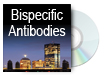 Bispecific Antibodies