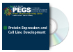 Protein Expression and Cell Line Development