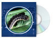 Baculovirus Technology