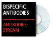 Resurgence of Bispecific Antibodies