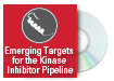 The Kinase Inhibitor Pipeline
