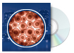 Optimizing Mammalian Cell Lines