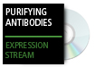 Purifying Antibodies