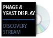 Phage and Yeast Display of Antibodies and Proteins
