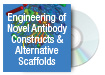 Engineering of Novel Antibody Constructs & Alternative Scaffolds
