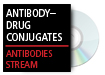 Antibody Conjugate Therapeutics: Potential and Challenges