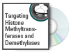 Targeting Histone Methyltransferases and Demethylases