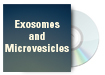 Exosomes and Microvesicles