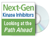 Next-Gen Kinase Inhibitors