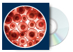 Optimizing Cell Line Development
