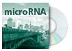 microRNA in Human Disease and Development
