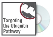 Targeting the Ubiquitin Pathway