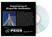 Engineering of Bispecific Antibodies DVD