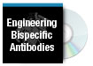 Engineering Bispecific Antibodies