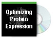Optimizing Protein Expression
