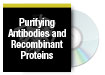 Purifying Antibodies & Recombinant Proteins