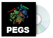 PEGS: the essential protein engineering summit